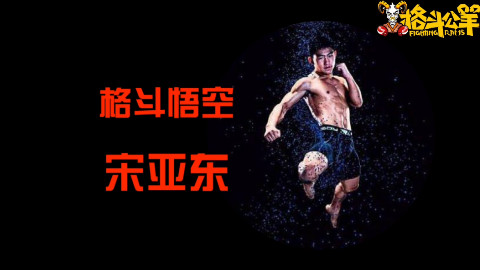 UFC小将宋亚东生涯高光集锦